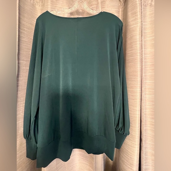 The Limited Hunter Green Woman’s Blouse
Balloon Sleeves V Neckline Chic - Picture 2 of 5